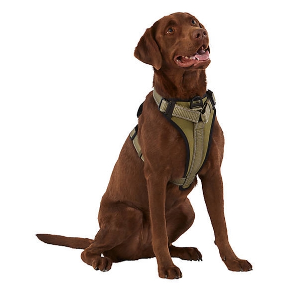 Kong Other - KONG® MAX Neoprene Padded Dog Harness Size L